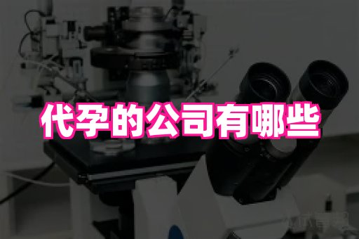 成都助孕网站 1
