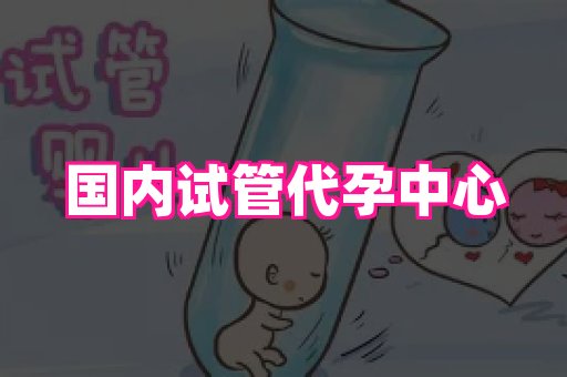成都助孕网站 4